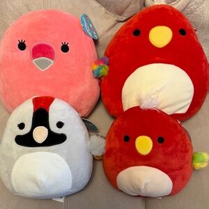 4 Bird Squishmallows